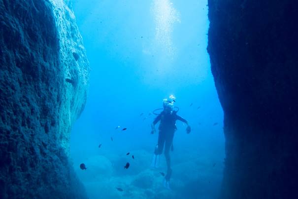Plongée sous-marine