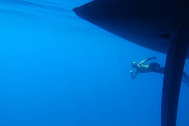 Vie sous-marine